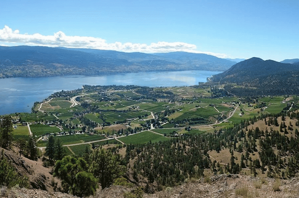 The Women Winemakers of the Okanagan Are Holding Their Ground
