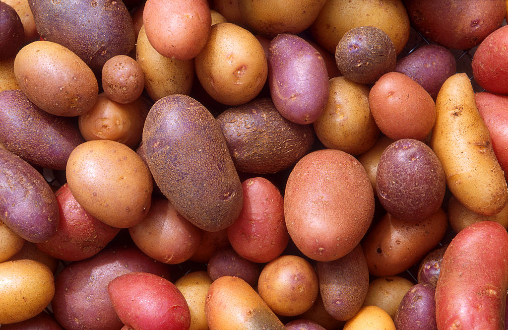 Potatoes Now Helping To Make Your Wine Fine