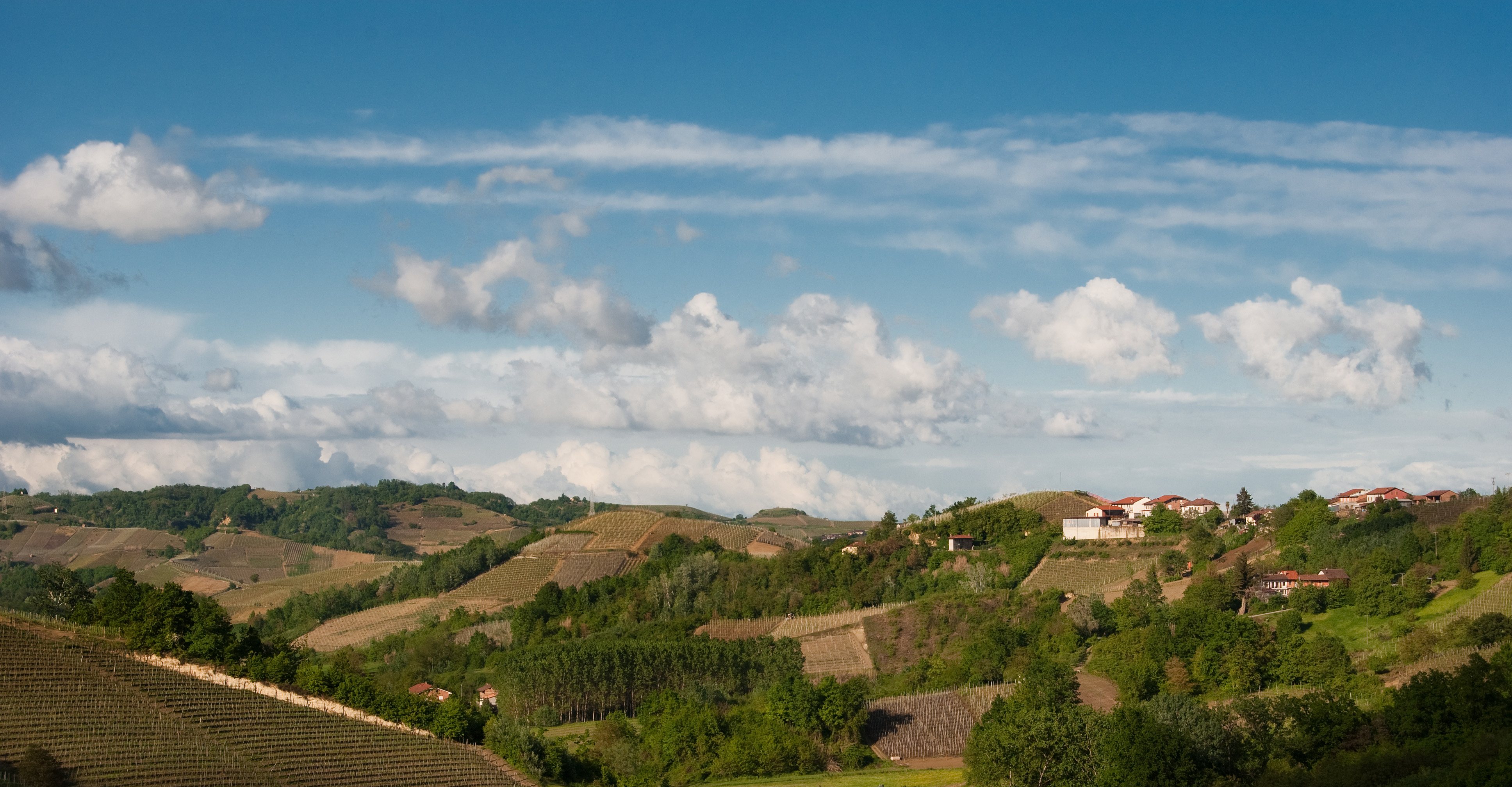 Roero and Roero Arneis: Emerging from Under the Barolo and Barbaresco Shadows