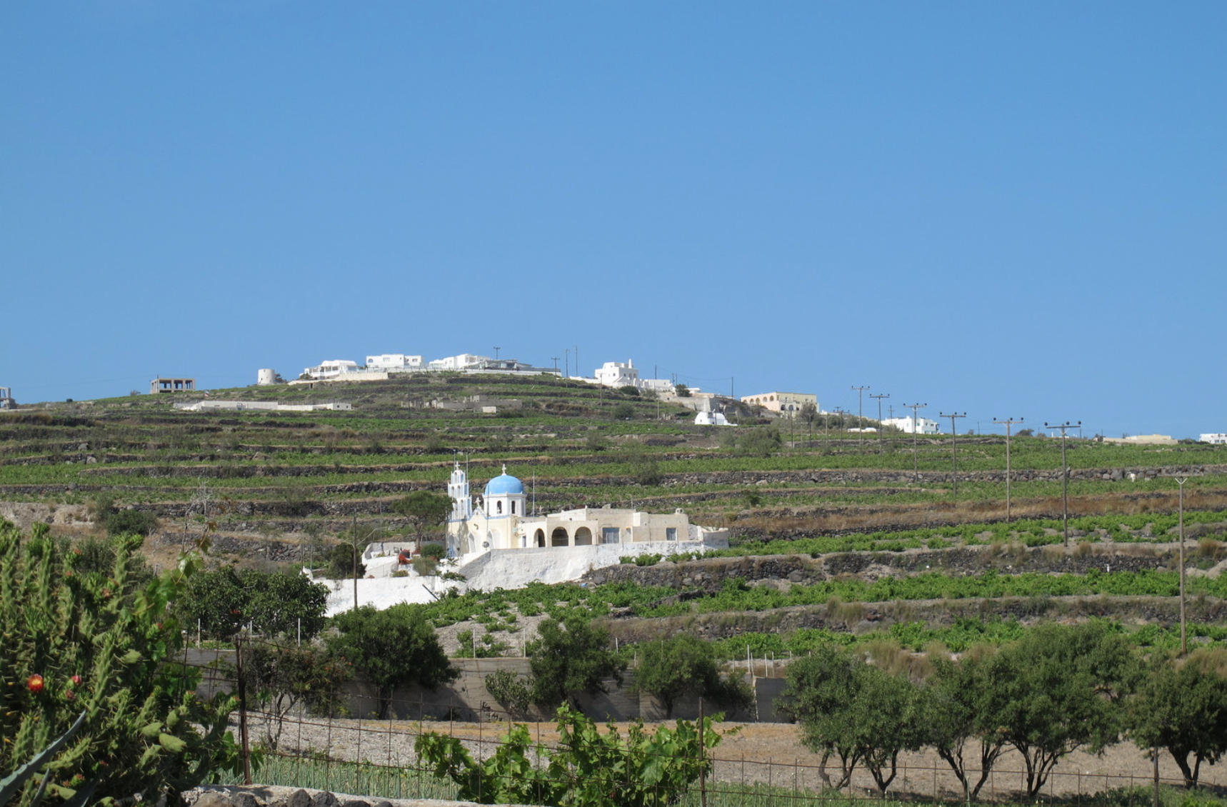 The Wines Of Picturesque Santorini