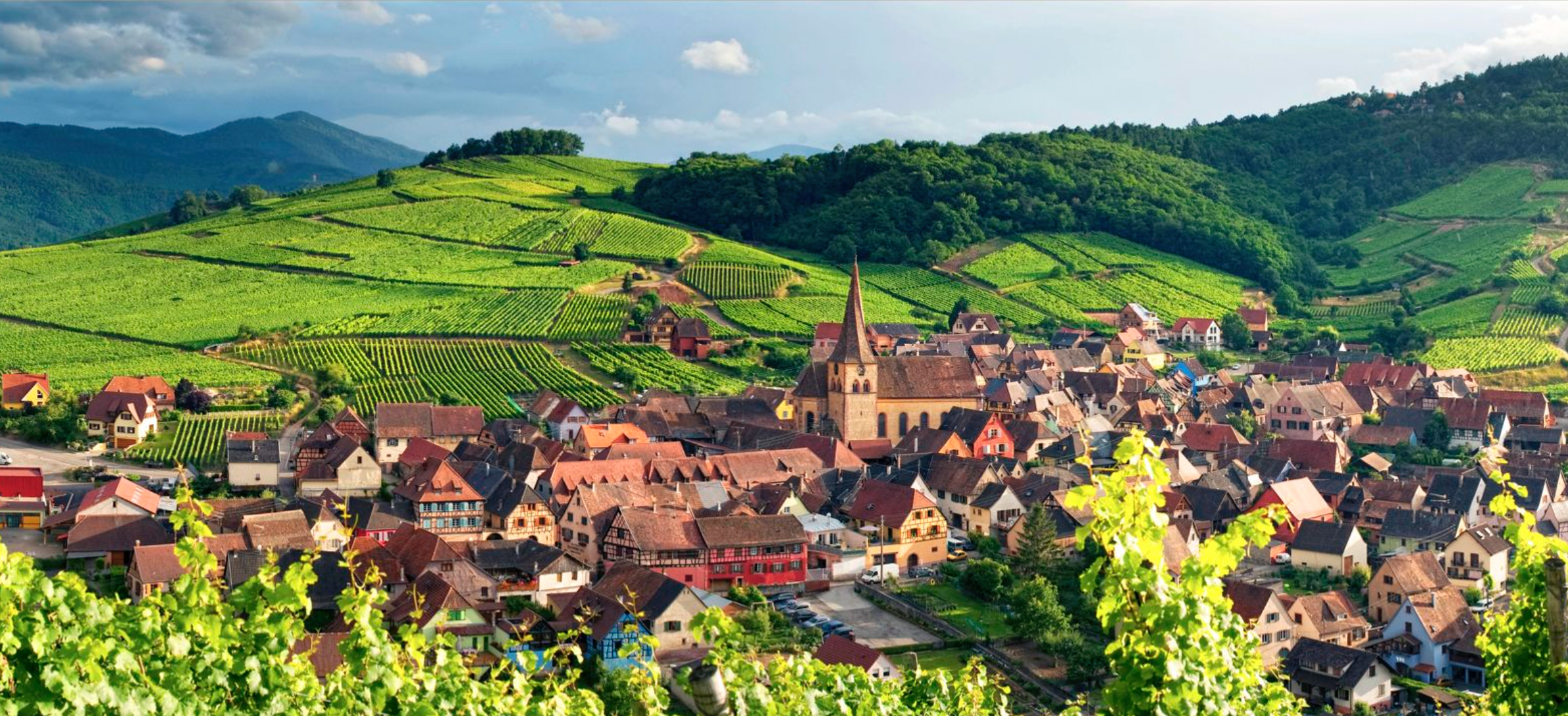 Northern Alsace - Visit Alsace