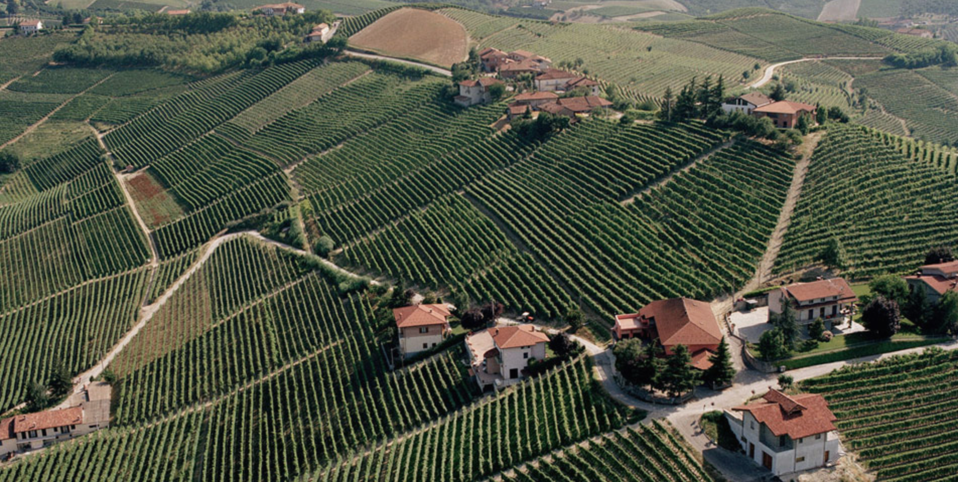 Produttori del Barbaresco