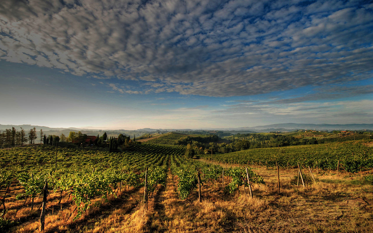 Could Molise Be Italy's Most Obscure Wine Region?