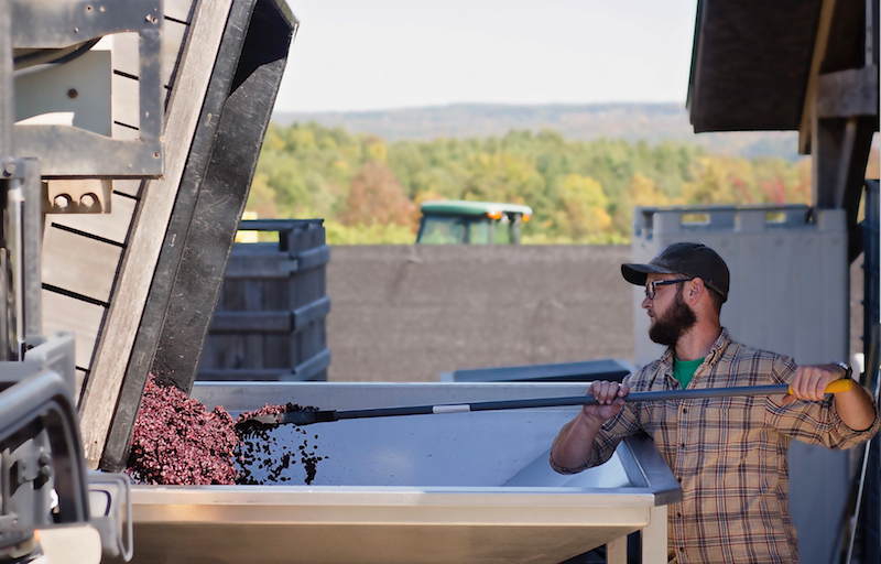 Nathan Kendall: Pushing the Limits of World Class Wine in the Finger Lakes