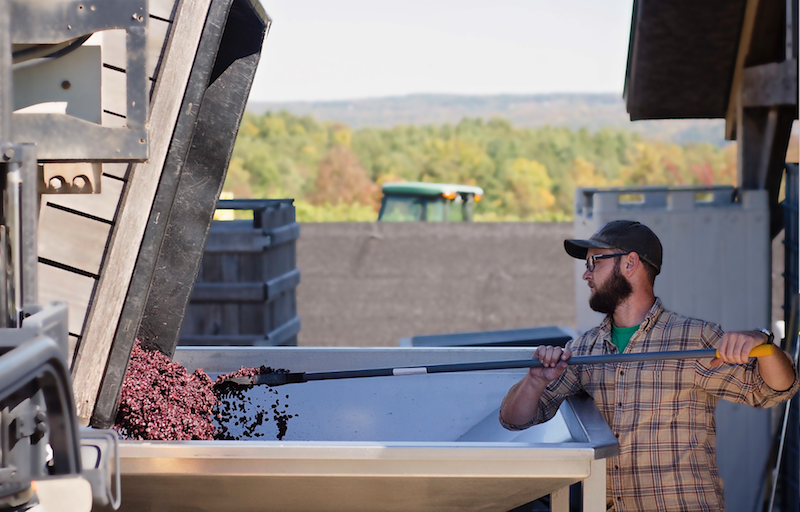 World Class Vineyard Never Tasted So Good: Heinrichshof Mosel