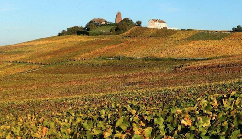 From La Transmission to Les Fa’Bulleuses: Femmes de Vin Advancing Champagne