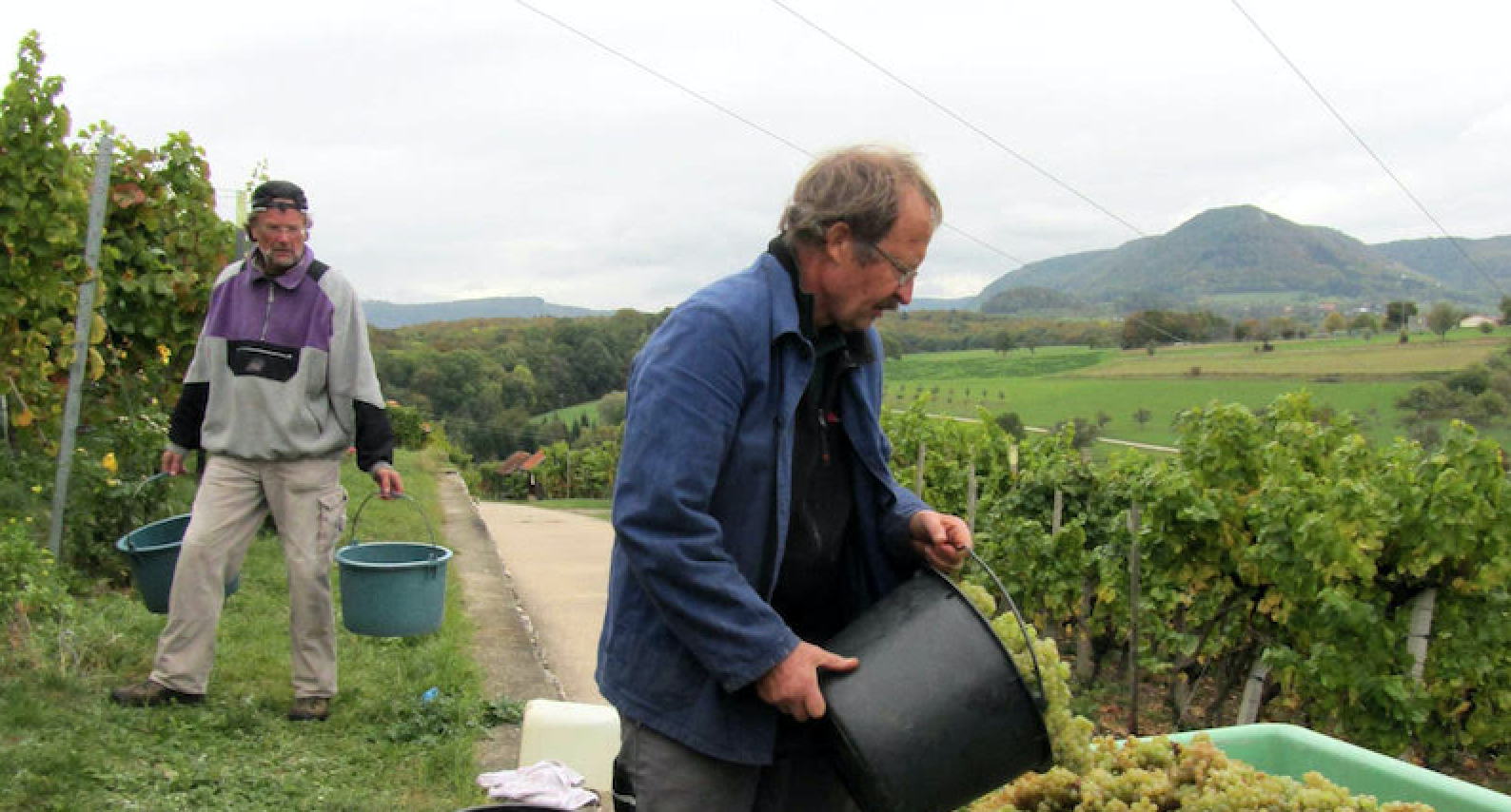 The Mountain Wines of Helmut Dolde