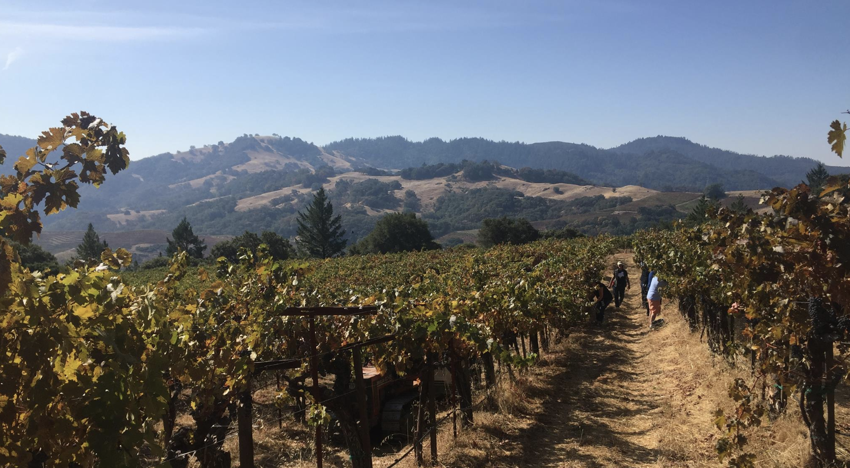 Talking Dirt With Christopher Howell of Cain Vineyard & Winery