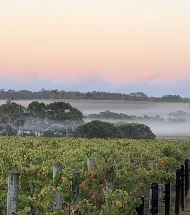 Ashbrook Estate: Showcasing the potential of Western Australia's Margaret River