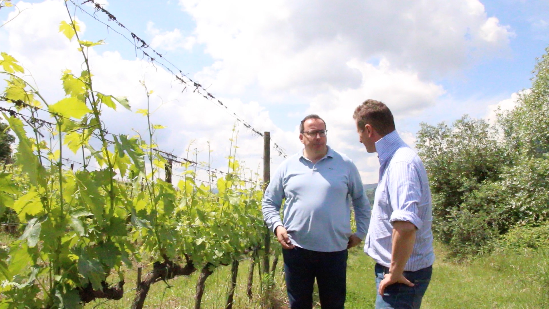 The Elegance of Chianti Rufina: Selvapiana Winemaker Federico Giuntini