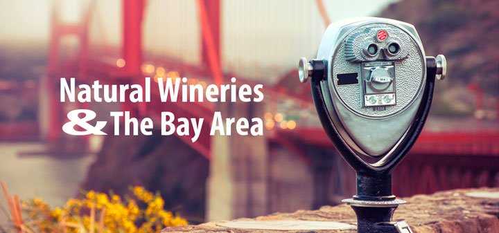 A Wine Trip To San Francisco, Naturally!
