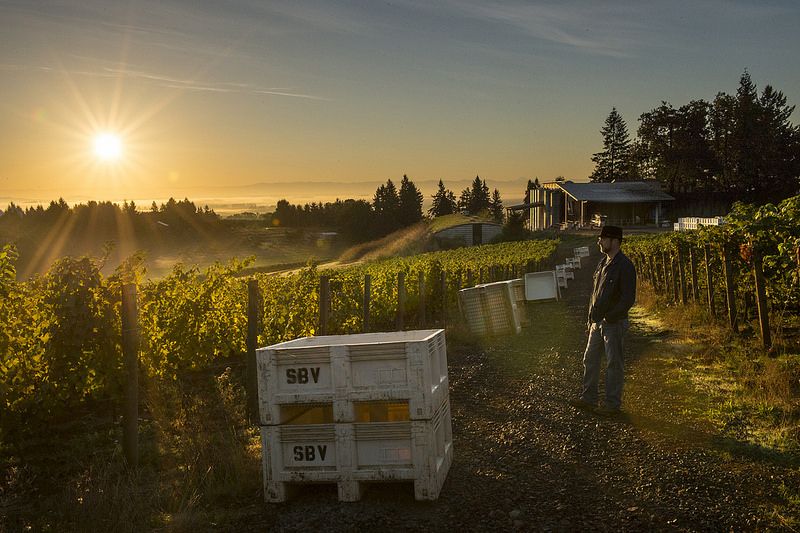 The Future of Oregon Sparkling Wine