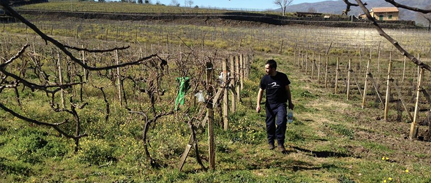 Eduardo Torres Acosta's volcanic wine journey from Tenerife to Mt Etna Sicily