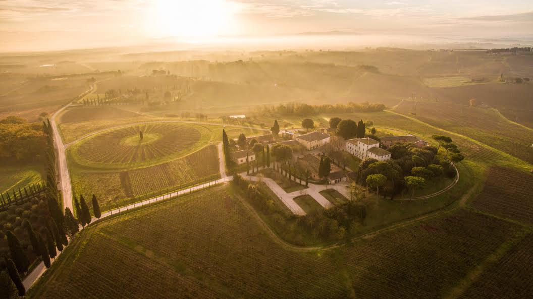 Virginie Saverys Of Avignonesi Winery Is Bringing New Life To Old Vineyards In Montepulciano