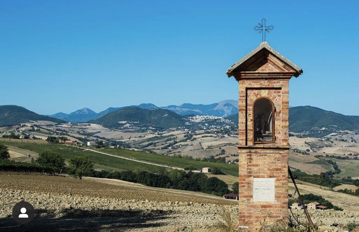 Umani Ronchi, Proud Producer of Marche and Abruzzo Wines