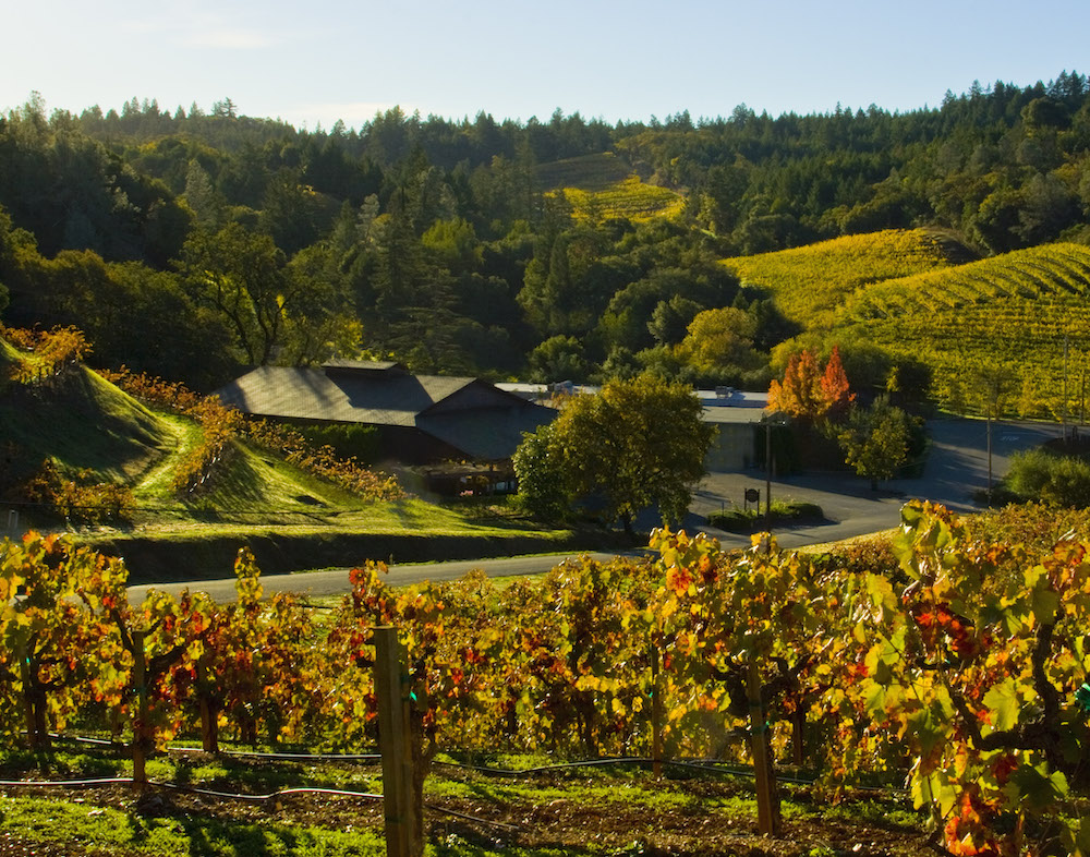California's Wineries and Women's Ownership: An Empirical Study