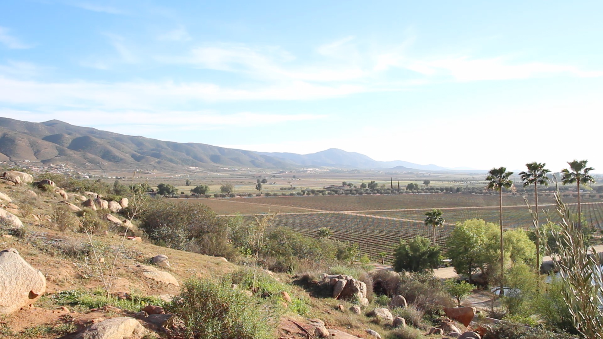 Valle de Guadalupe: A Sundrenched Land of Food and Wine