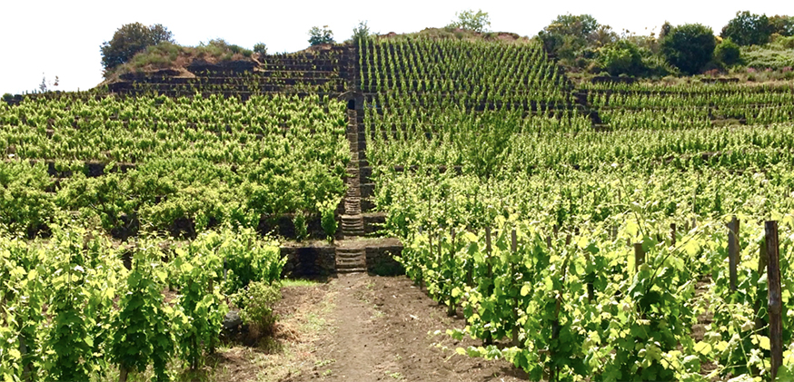 Ciro Biondi Celebrating Etna s Unique Terroir