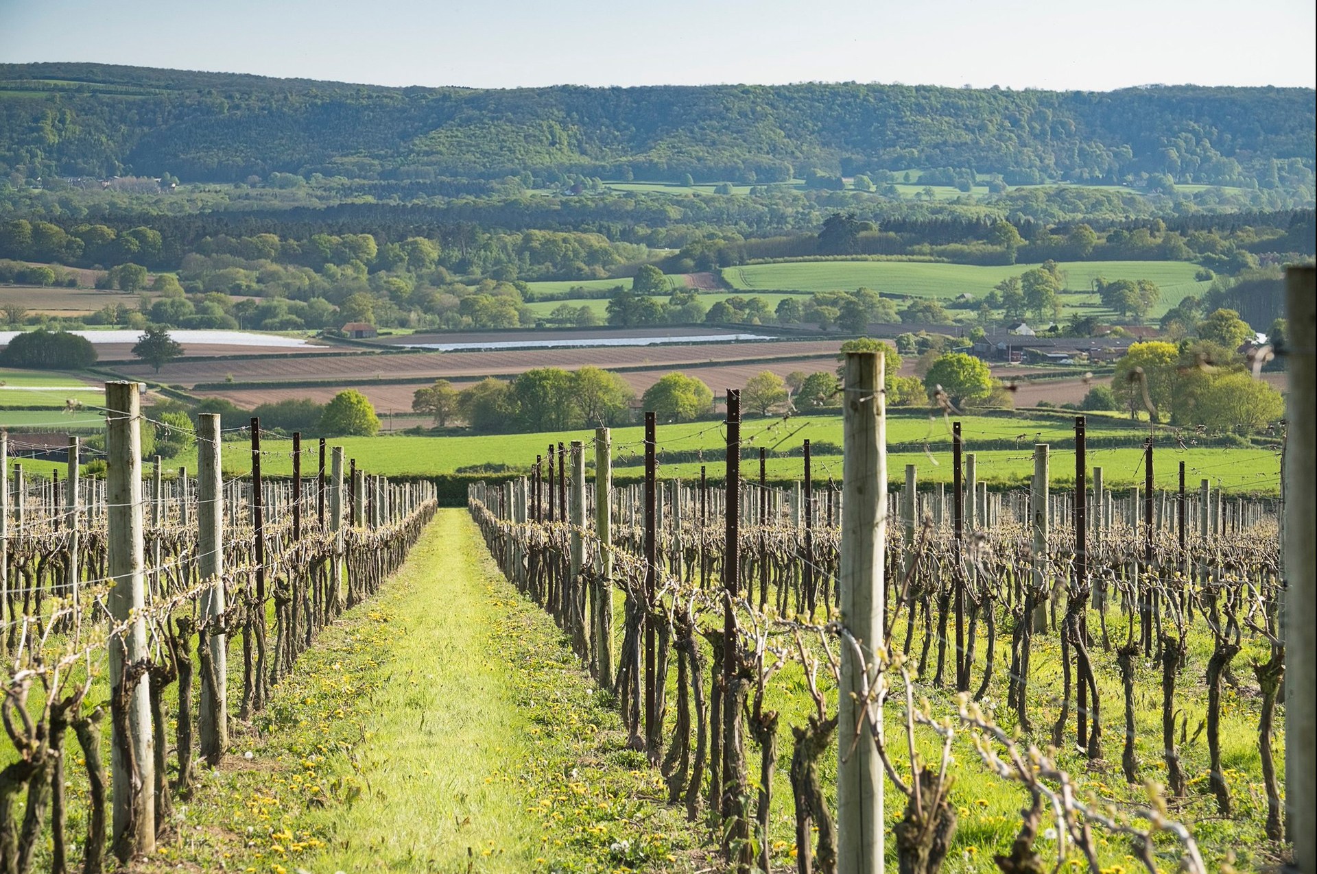 Brad Greatrix and Cherie Spriggs of Nyetimber are Leading The Way For English Sparkling Wine