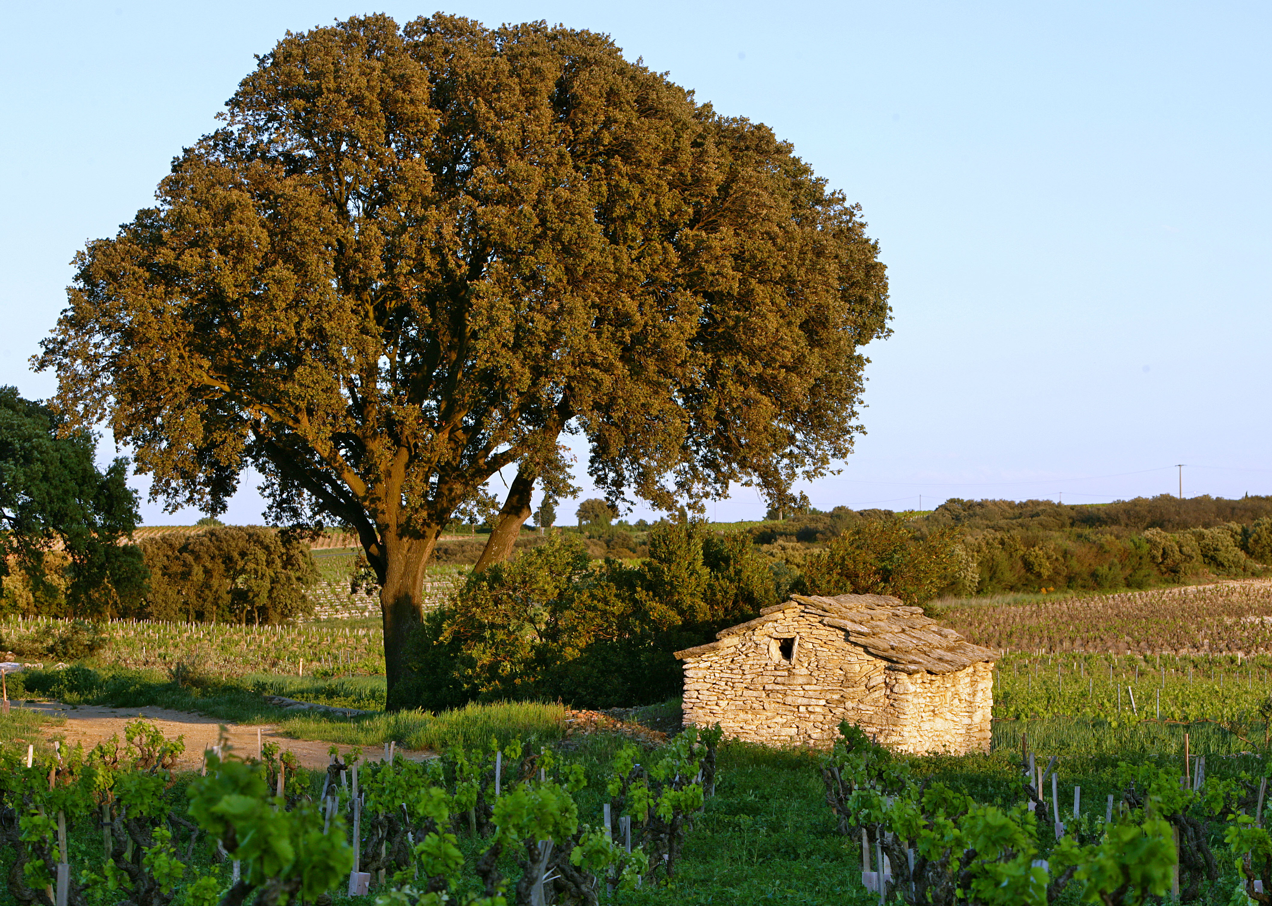 Beaurenard