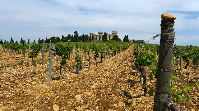 Oval-shaped stones of Châteauneuf-du-Pape -- https://www.flickr.com/photos/jeanlouis_zimmermann/