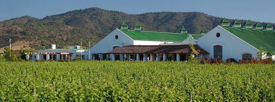 Casas Del Bosque