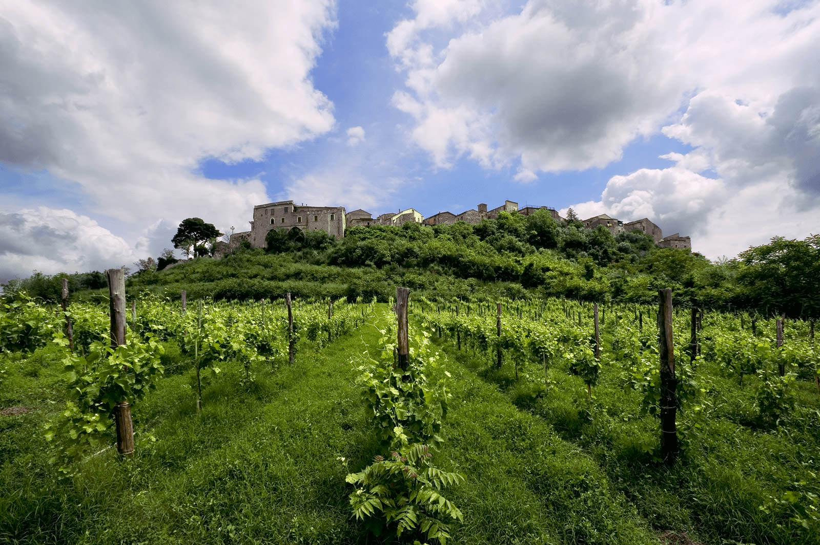 Feudi di San Gregorio