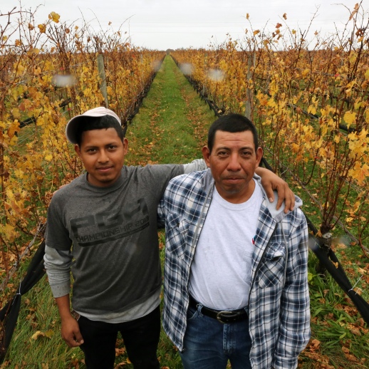 Farm workers