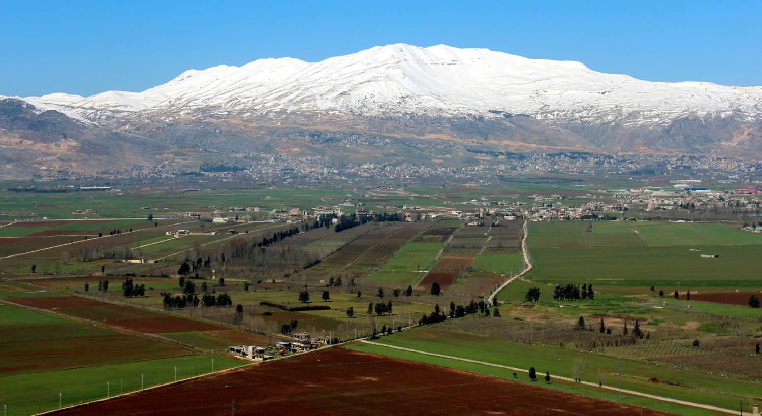 bekaa valley lebanon