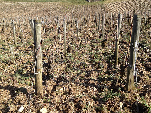 les preuses chablis