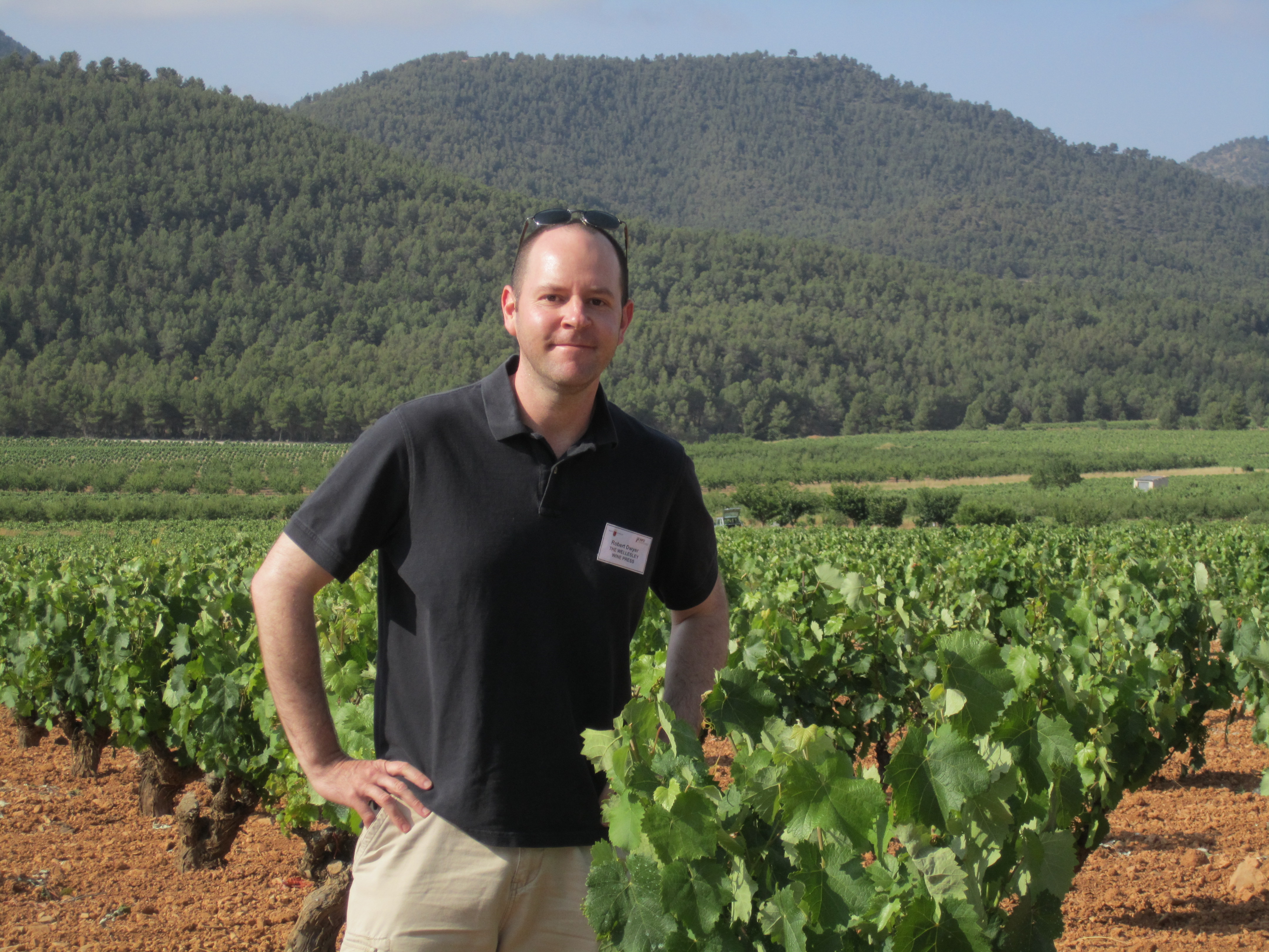 robert dwyer monastrell vineyards spain