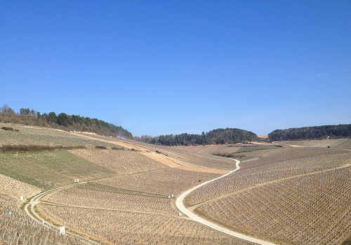 chablis grand cru