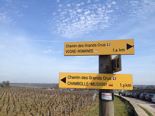 grand cru sign burgundy