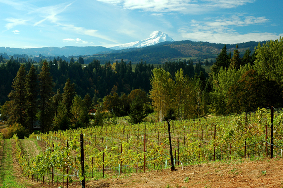 Pheasant Valley Columbia Gorge