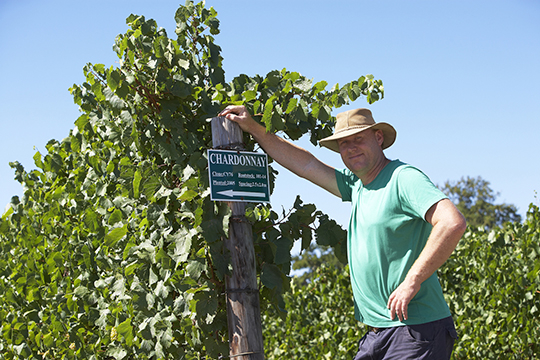 Richard Kershaw Wines