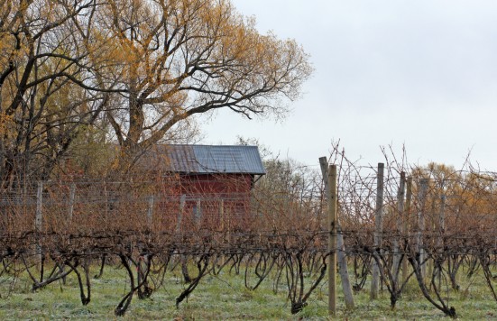 Home - Silver Thread Winery