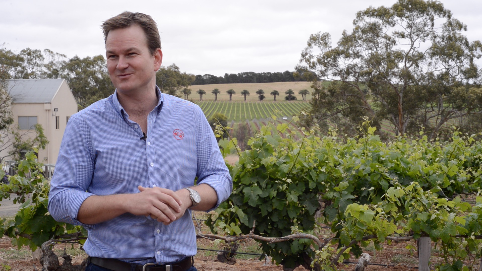 Two Hands, Barossa Valley, Australia