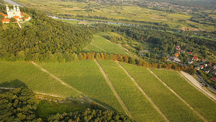 Srebrna Góra Winery