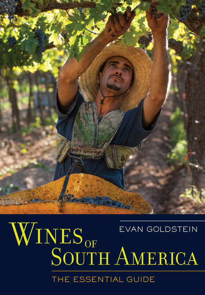 wines of south america evan goldstein